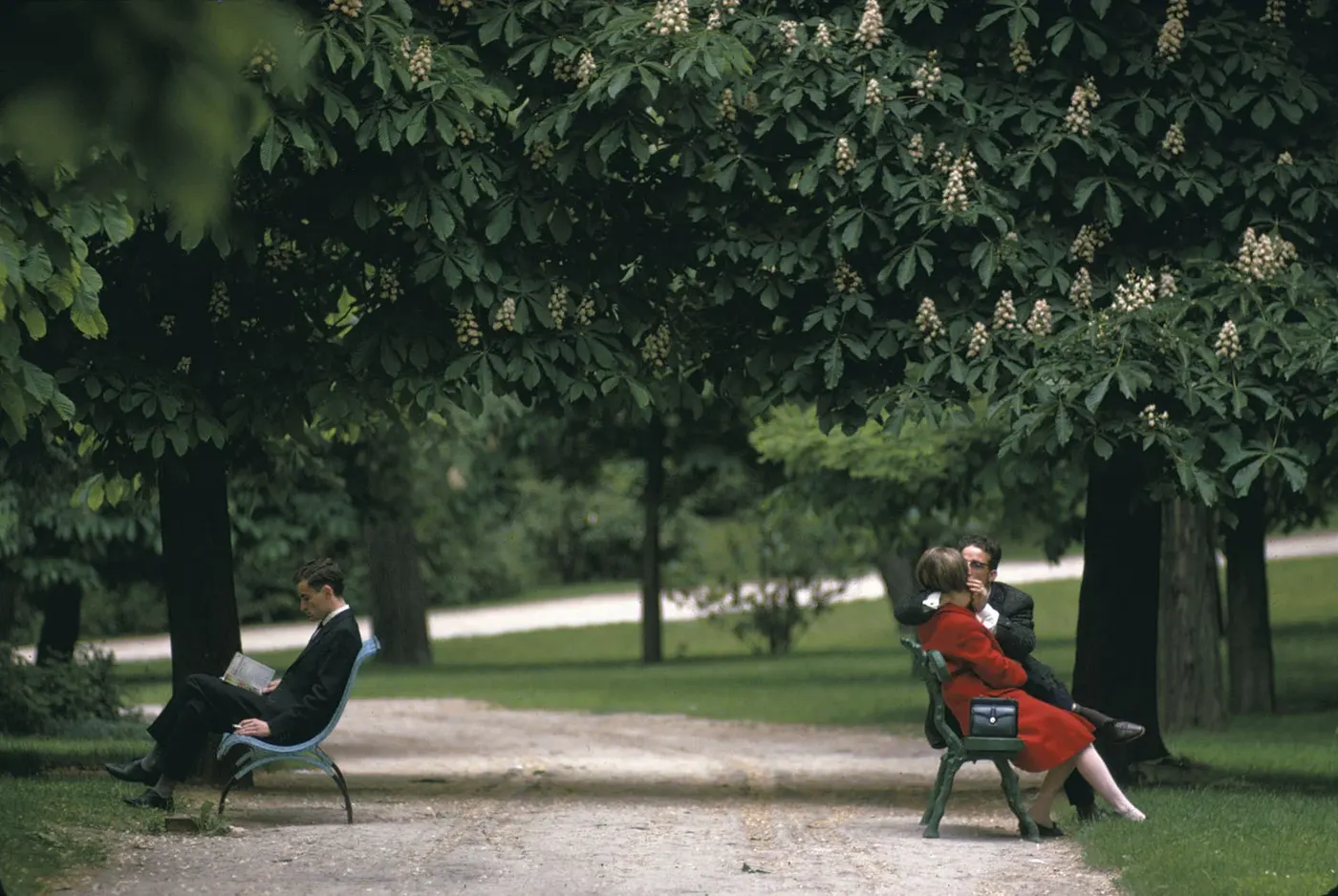 Joel Meyerowitz’s Park Scene Turns Quiet Observation Into Theater