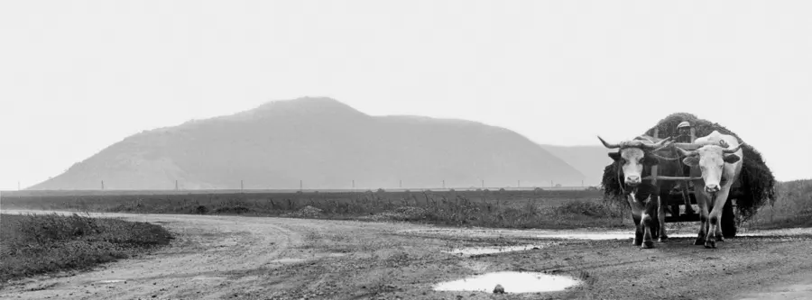 Josef Koudelka’s Quiet Monument on the Open Road