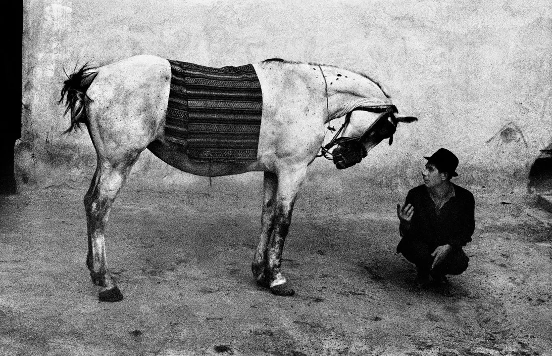Josef Koudelka’s "Horse" and the Drama of a Quiet Exchange