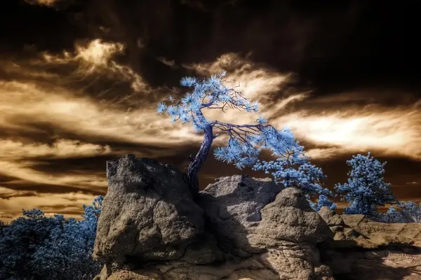 How to Develop Your Eye for Photography
