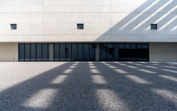 Hard Light vs. Soft Light: A Photographer's Guide