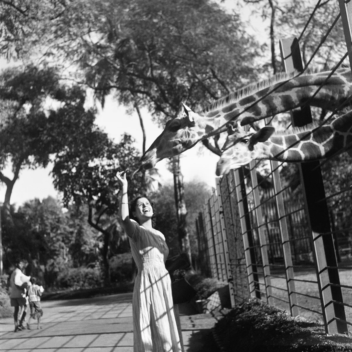 Bombay Zoo by Homai Vyarawalla