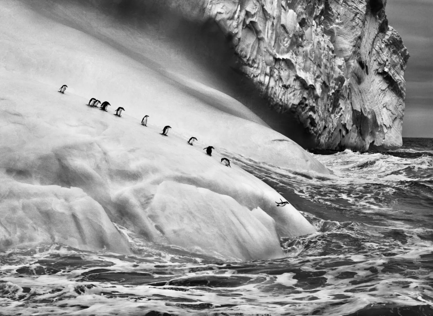 South Sandwich Islands, 2009