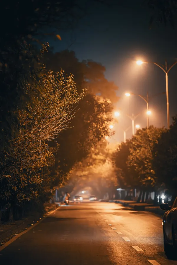 Why Light Direction Changes a Photograph